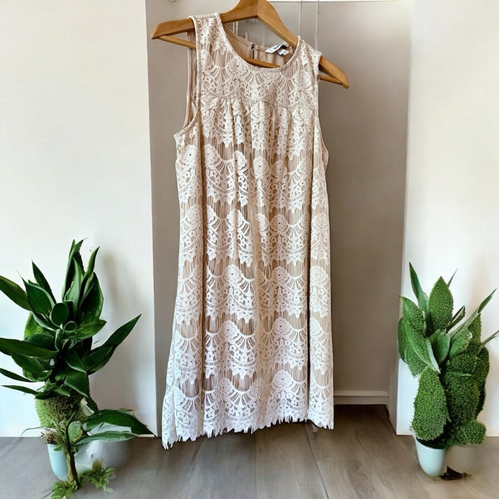 Speechless Cream Lace Midi Dress